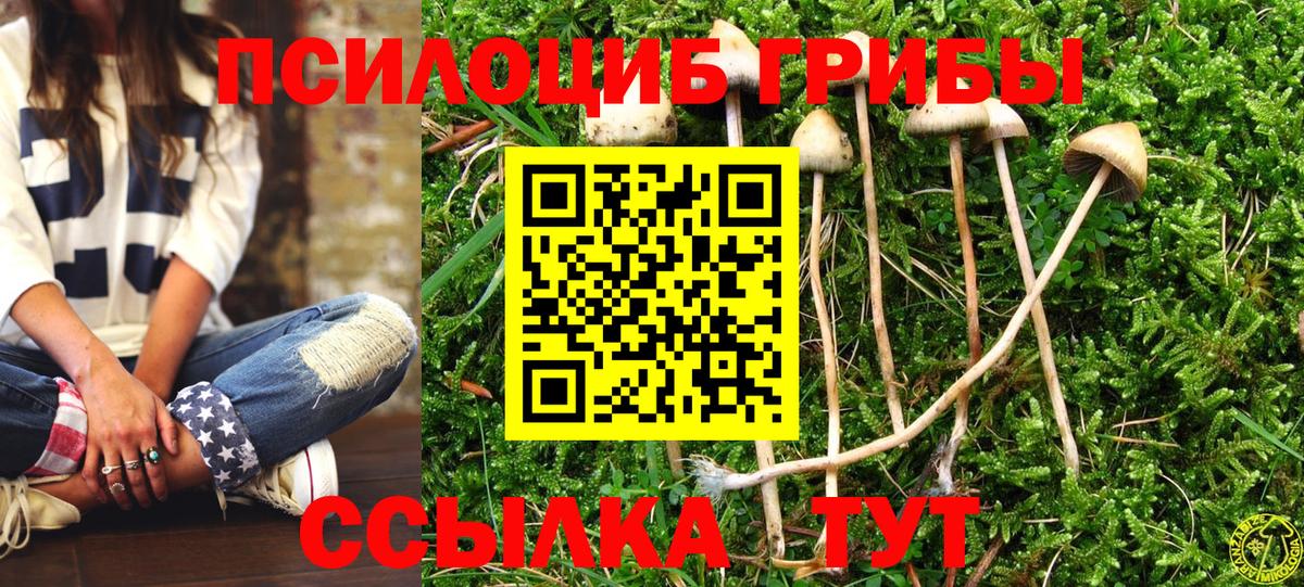 Псилоцибиновые грибы прущие грибы  Вход с VPN  Сальск  Псилоцибиновые грибы Cubensis 