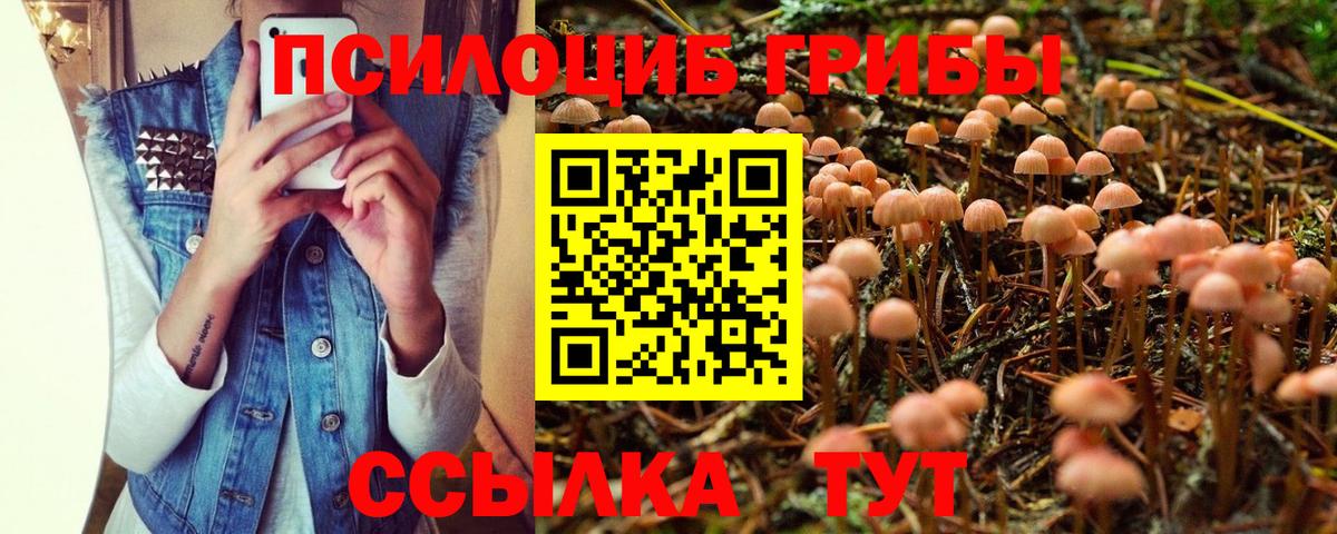 Псилоцибиновые грибы ЛСД Сальск